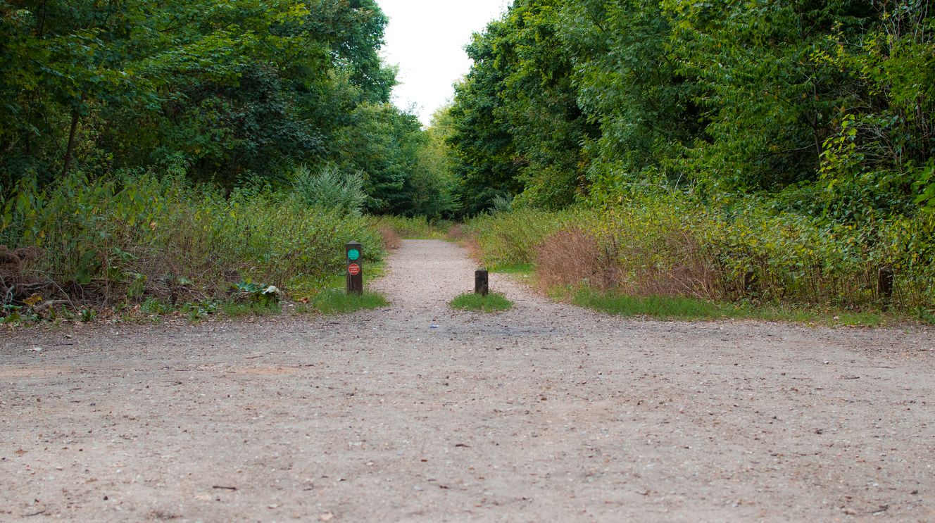 écurie de propriétaire dans le 78 Maisons Laffitte