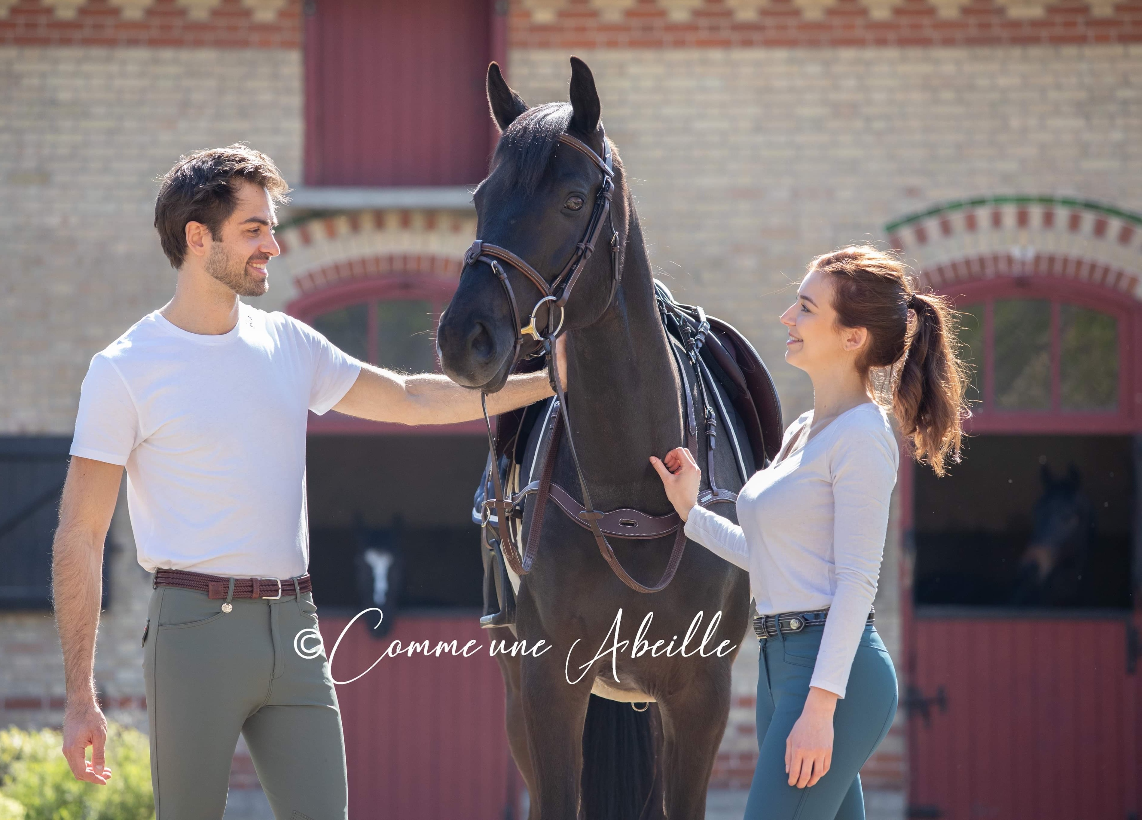 ecurie proprietaire 78 maison lafitte