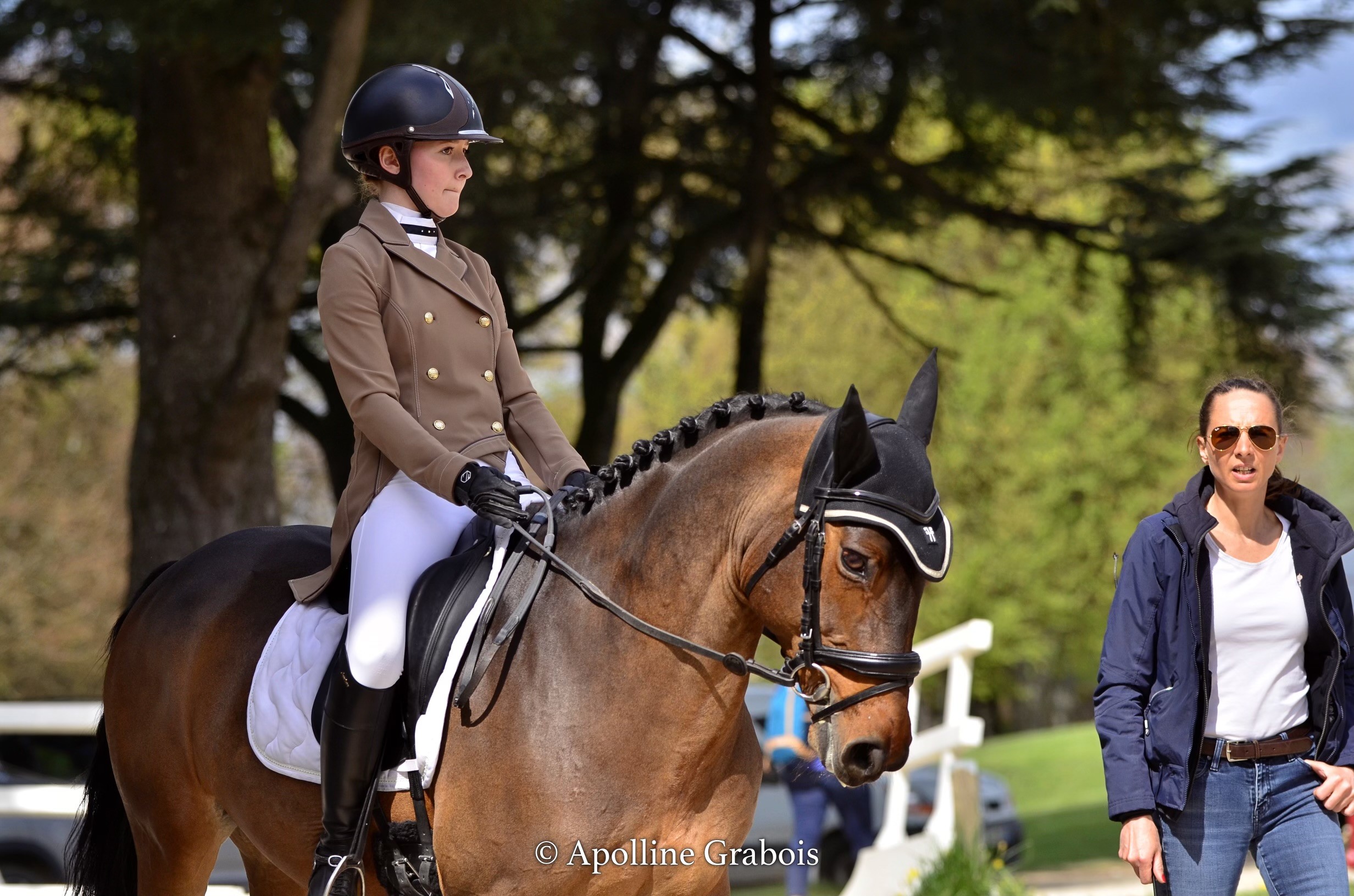 écurie de proprietaire 78 maisons laffitte